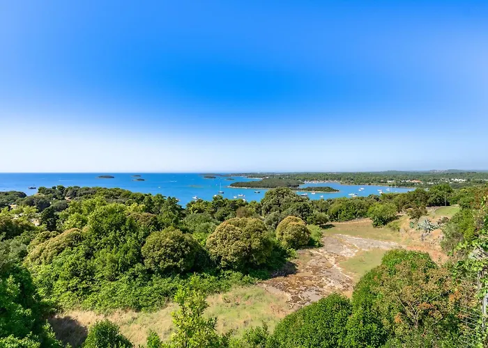 Carla- Istrian Stone With Sea View Villa *