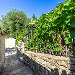 Carla- Istrian Stone With Sea View