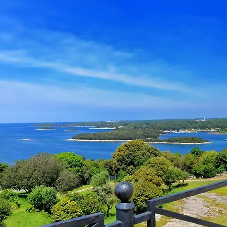 Carla- Istrian Stone With Sea View Vila *